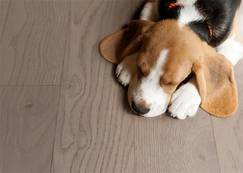 居家摯愛進口地板，優雅永不過時 圖片 9