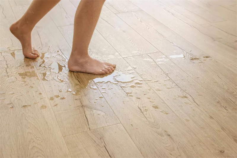 《乘風(fēng)破浪的不止姐姐們，還有這些超帥的騎手》 圖片 7