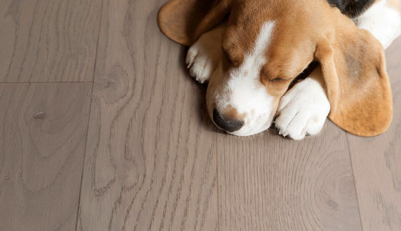 實木復合地板重新定義了高品質生活的標準 圖片4